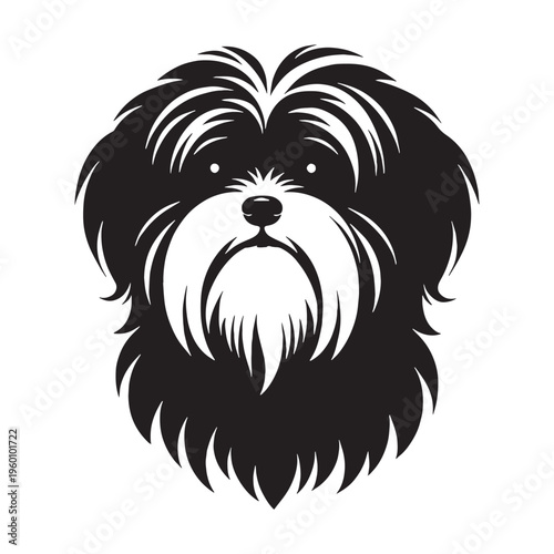 Maltese Dog Cute Fluffy White Puppy Small Toy Breed Elegant Companion Pet Playful Loving Friendly Indoor Dog Groomed Hair Adorable Face Family Pet Sweet Temperament Luxury Breed.