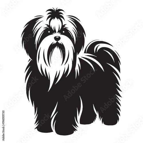 Maltese Dog Cute Fluffy White Puppy Small Toy Breed Elegant Companion Pet Playful Loving Friendly Indoor Dog Groomed Hair Adorable Face Family Pet Sweet Temperament Luxury Breed.