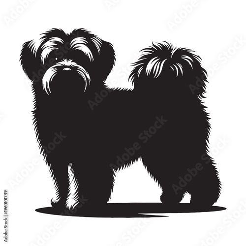 Maltese Dog Cute Fluffy White Puppy Small Toy Breed Elegant Companion Pet Playful Loving Friendly Indoor Dog Groomed Hair Adorable Face Family Pet Sweet Temperament Luxury Breed.