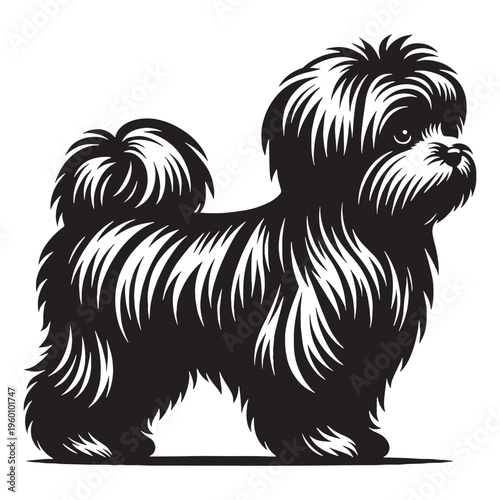 Maltese Dog Cute Fluffy White Puppy Small Toy Breed Elegant Companion Pet Playful Loving Friendly Indoor Dog Groomed Hair Adorable Face Family Pet Sweet Temperament Luxury Breed.