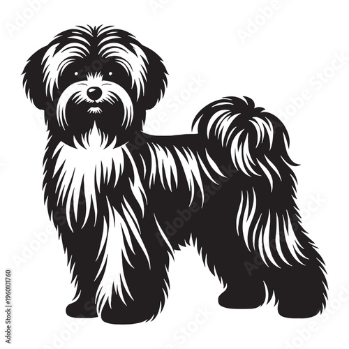 Maltese Dog Cute Fluffy White Puppy Small Toy Breed Elegant Companion Pet Playful Loving Friendly Indoor Dog Groomed Hair Adorable Face Family Pet Sweet Temperament Luxury Breed.