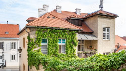 House with a green ivy growing on the side of it