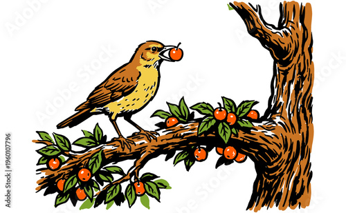 Songbird harvest design. Nature bird club artwork. Fresh orchard vibes for t-shirt print, sticker, poster and wild bird lover art.