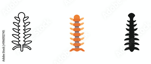 Human Spine Icon Set 