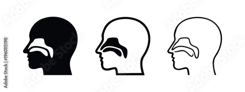 Human head profile with nasal cavity and sinus anatomy icons