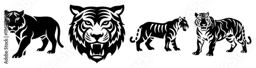 Set of four wild big cats roaring black and white vector illustration isolated on white background for wildlife design