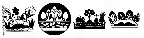 Hand drawn black and white vegetable garden illustration with carrots, radishes, and plants growing in pots and soil for organic farming and home gardening