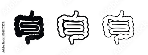 Human Intestines Icon Set - Digestive System Anatomy Symbols in Different Styles