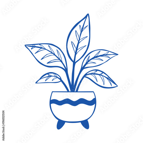 Minimalist vector line illustration of Calathea in a pot. Hand-drawn house plant isolated on a white background. Botanical drawing for poster, card, or coloring book.