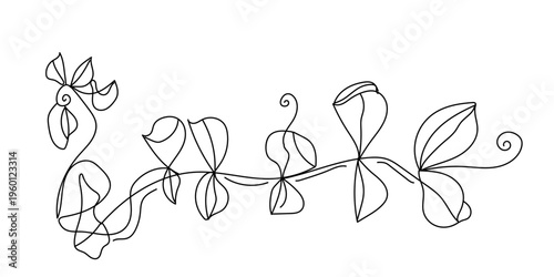 A continuous‑line botanical illustration created in a minimalist, abstract style. The artwork features a single unbroken black line forming a series of stylized leaves, organic shapes, and flowing cur