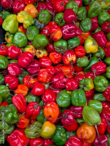 Fresh red and green Habanero peppers background. 
Harvest spicy sale at street market 