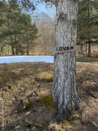 Rustic wooden sign pointing to Lovea, Carnia, Friuli Venezia Giulia, Italy. Handmade arrow direction on a tree trunk in a mountain landscape with snow patches, road indicator for a small village.