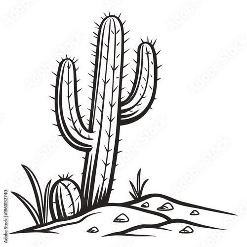 A large cactus with two smaller cacti in the desert