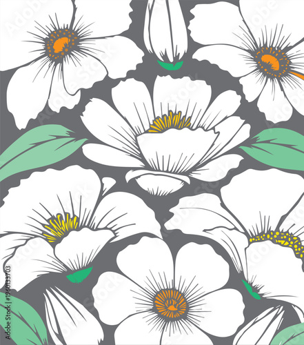 flowers in white background