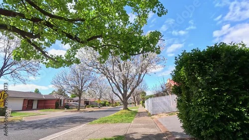 Quiet residential street in Werribee, Melbourne, Australia, with tree-lined sidewalks, detached houses, and soft sunlight filtering through foliage. Suburban living, a calm, livable neighborhood 