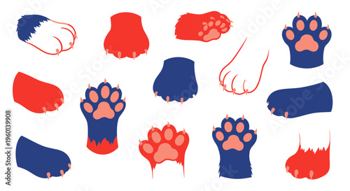 Cute Cat Paws Collection: Paw Prints, Claws, and Furry Feet Illustrations