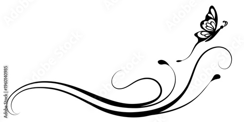 Spring floral ornament with leaves and abstract lines. Text divider. Decorative element for decor and text greeting or invitation card design.