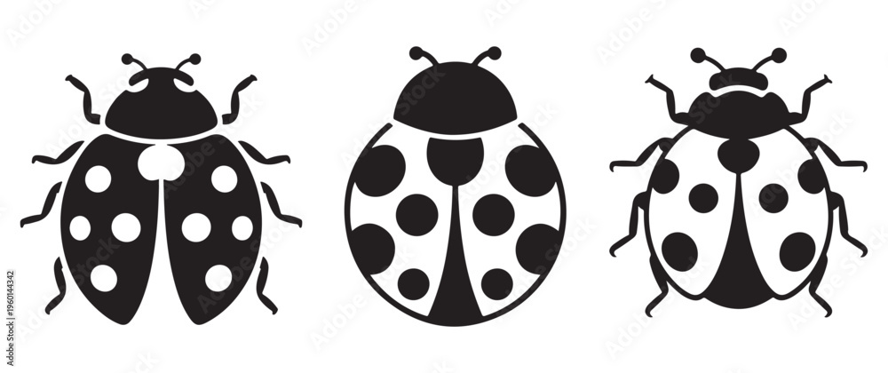 Fototapeta premium Three black ladybugs with white spots are displayed in a simple graphic arrangement a silhouette