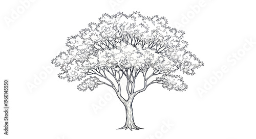 Detailed Sketch of a Lush Green Tree with Full Canopy