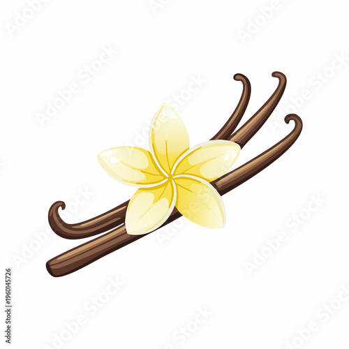 Vanilla flower and pods illustration, isolated on white background, cartoon style