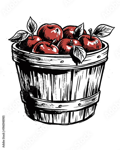 Red Apples in a Wooden Bushel Basket Vintage Ink Illustration
