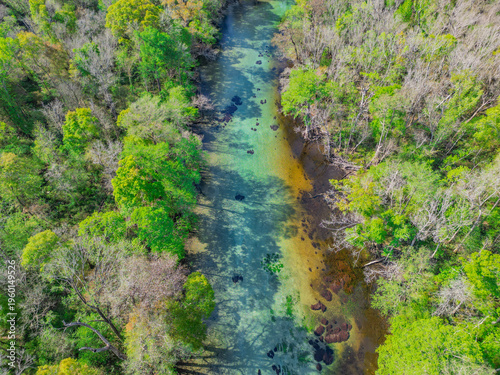Konstfotografi Cypress Spring Run feeding Holmes Creek