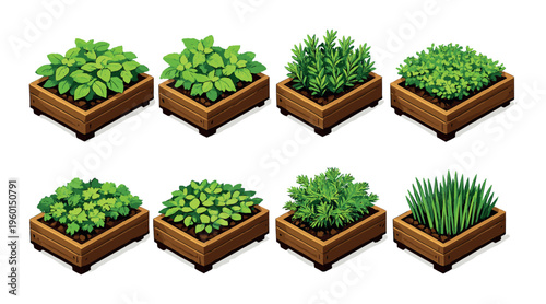 Wooden herb planters with leafy greens on green background