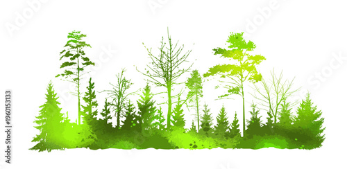 Forest green silhouette. Pine trees silhouette. Hand drawn. Not AI, vector illustration.
