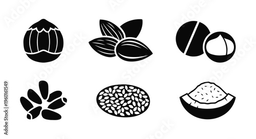 Vector illustration of set of nuts and seeds icons, hazelnut, almond, macadamia, pine nut, sesame