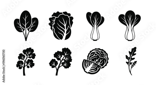 Vector illustration of set of various fresh leafy greens and vegetables icons