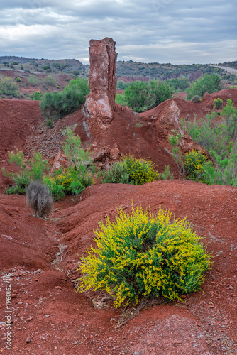 Red Marl Lagoon Area in Murcia’s Semi-Arid Landscape, Murcia, Spain