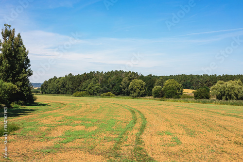 Agricultural Field in Czech Countryside