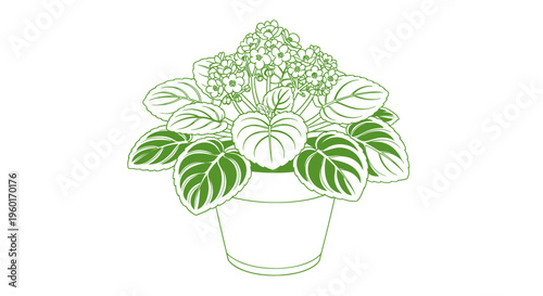Green Potted Plant with Blooming Flowers and Leaves, Isolated on White