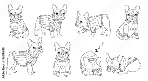 Cute French Bulldog Poses in Sweaters - Line Art Illustration