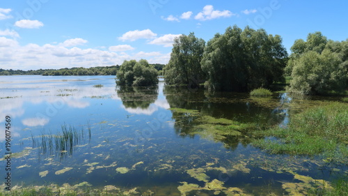 Foto Lac du Der Chantecoq, en Champagne Ardenne, dans la région Grand Est, paysage aq