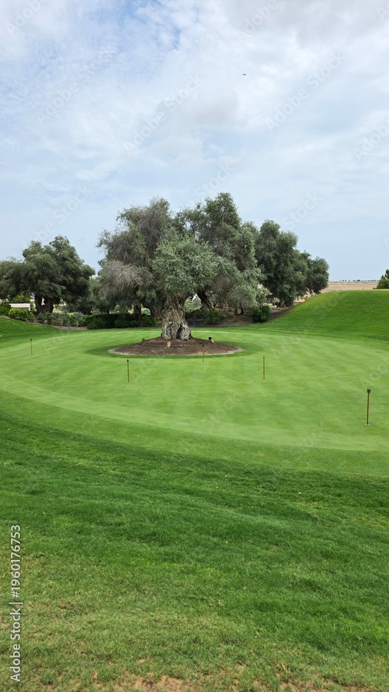 Fototapeta premium golf course in the morning