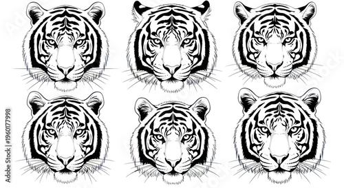Six Black and White Tiger Face Illustrations, Fierce Animal Portraits