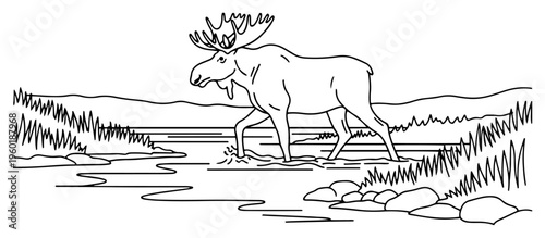 Photos Moose wildlife landscape illustration with bull elk walking through river marsh
