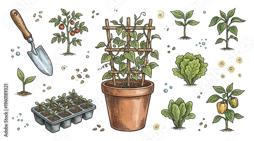 Vector gardening set with vegetable seedlings, tomato plants, pepper, lettuce, seeds, and garden trowel in hand-drawn engraving style isolated on white background.