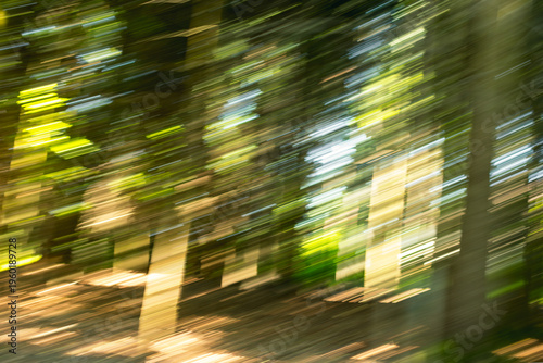 Motion blur from the green foliage in the forest in summer