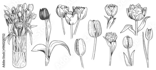 engraving tulip bouquets