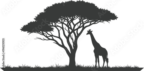 Serene african sunset with giraffe silhouette under tree