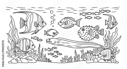Marine Life Coloring Page: Diverse Tropical Fish, Moray Eel, Seaweed, and Coral Reef Elements in Black and White Line Art