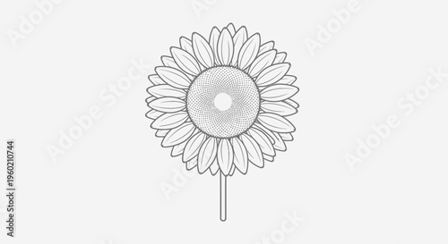 Monochrome line art illustration of a sunflower on a stick, simple vector drawing, floral icon design element
