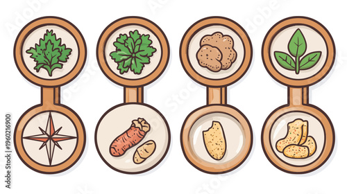 A cartoon-style illustration shows botanical elements, including leaves, roots, snacks, & a compass