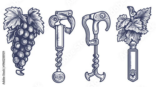 Intricate, monochrome illustrations of grapes and various corkscrew designs, with detailed linework