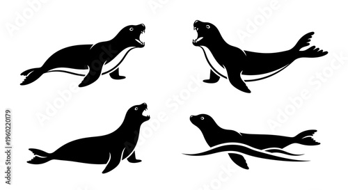 Black seal and sea lion silhouettes in various action poses