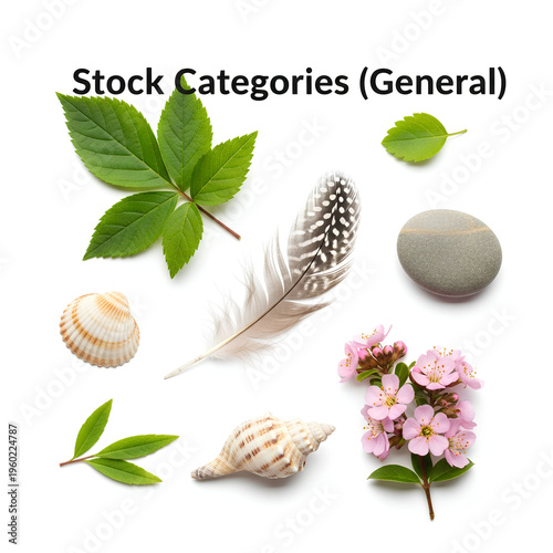 Stock photo of various natural elements and objects on white background.