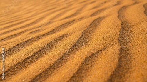Sand dune ripple texture in golden light, natural desert pattern macro.