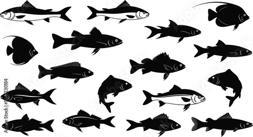 Fish silhouette collection, various freshwater and marine species, black shadow aquatic animals set, isolated vector illustration for fishing and wildlife design